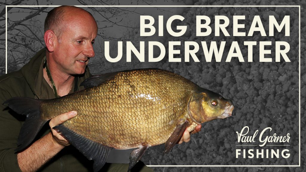 Bream Fishing : Big Bream Underwater